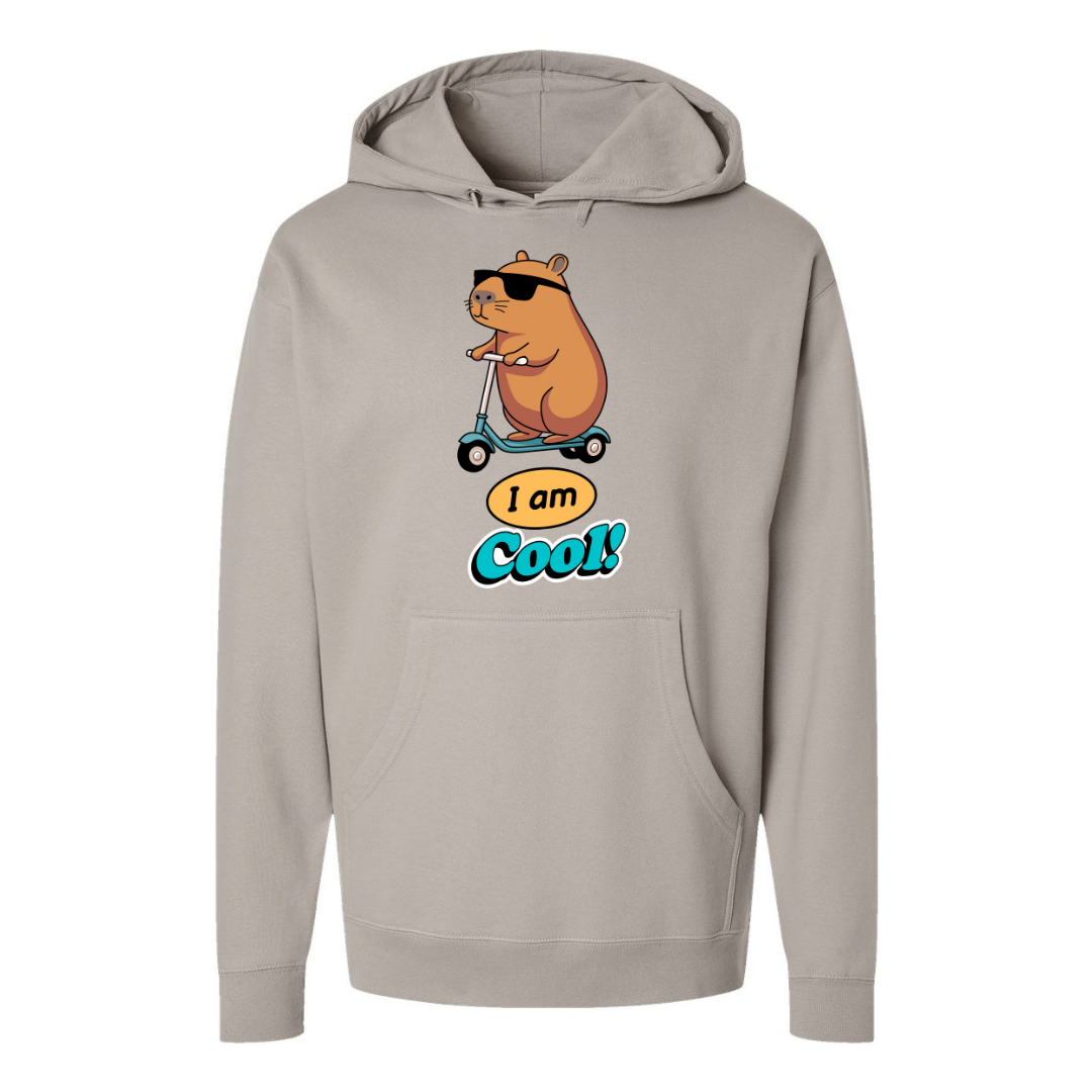 I'm Cool – Fun Graphic Hoodie for Funny Souls