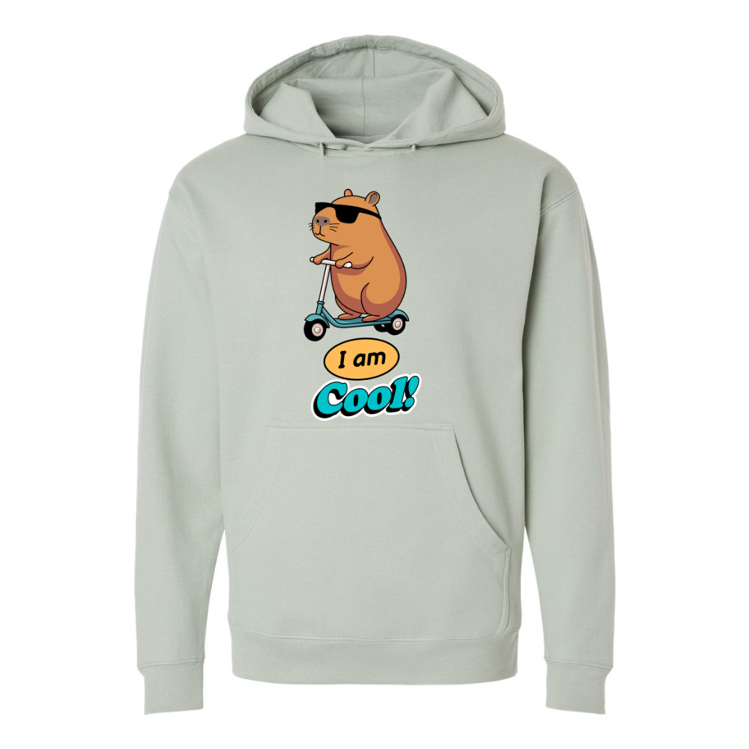 I'm Cool – Fun Graphic Hoodie for Funny Souls